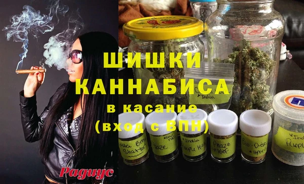 дурь Осташков