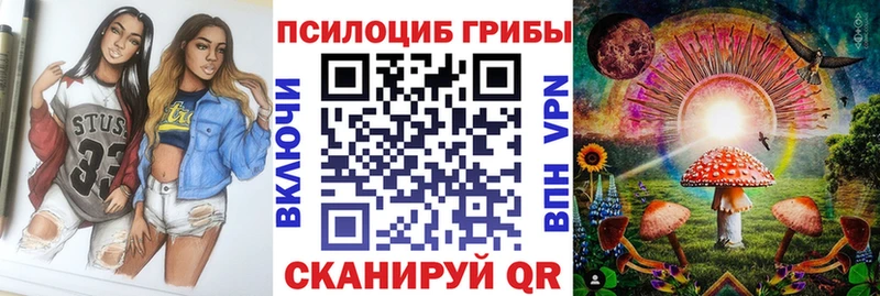 Псилоцибиновые грибы мицелий  Дедовск 